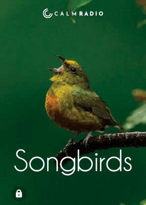 OISEAUX CHANTEURS