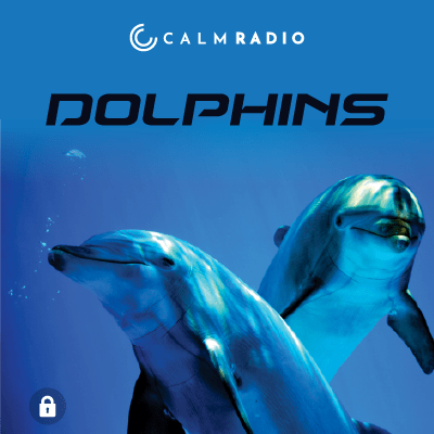 DELFINI