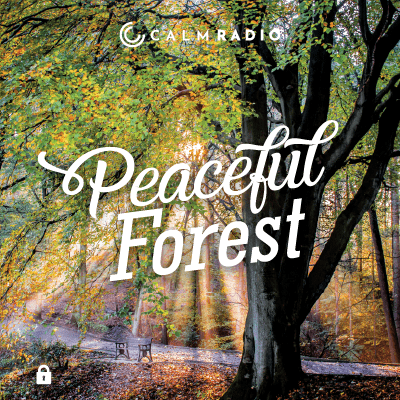 FORESTA TRANQUILLA