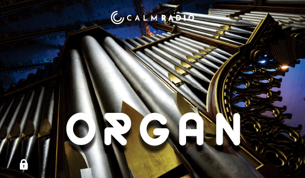 ÓRGANO