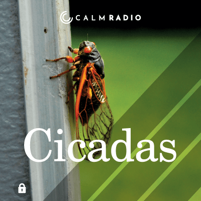 CICALE