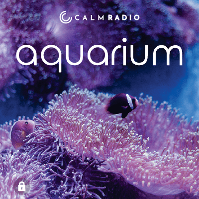 ACQUARIO
