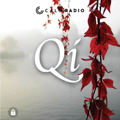 QI