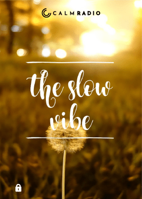 THE SLOW VIBE