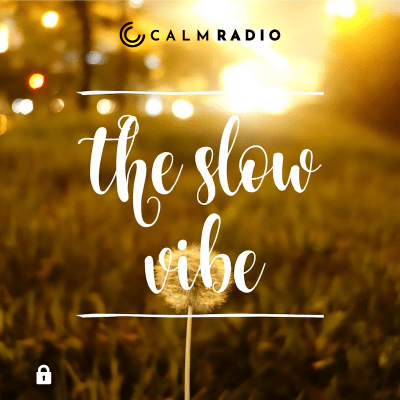 THE SLOW VIBE