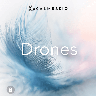 DRONES