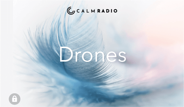 DRONES