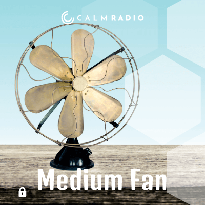FAN MEDIO
