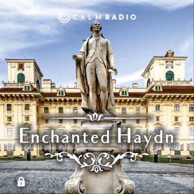ENCHANTED HAYDN