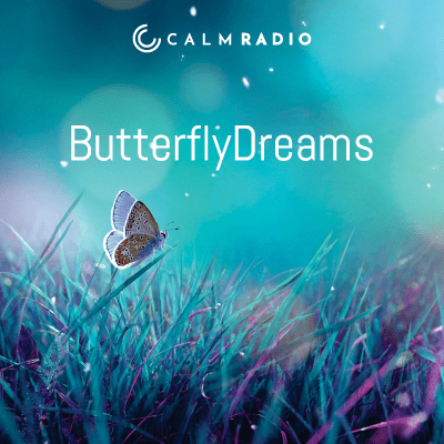 Schmetterlingsträume beruhigt binaurale Schlafmusik, die online auf CalmRadio.com verfügbar ist