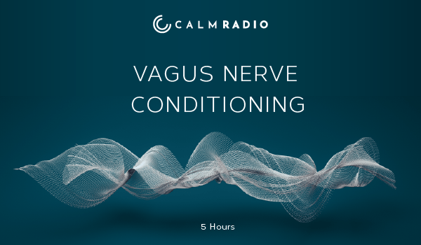 VAGUS NERVE CONDITIONING