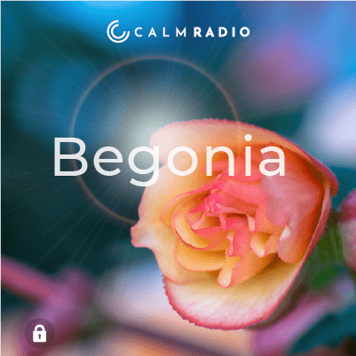 BEGONIA