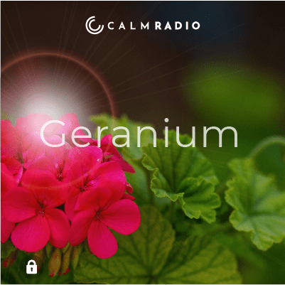 GERANIUM