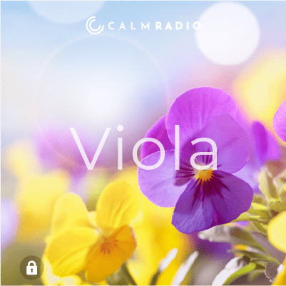 VIOOLTJE