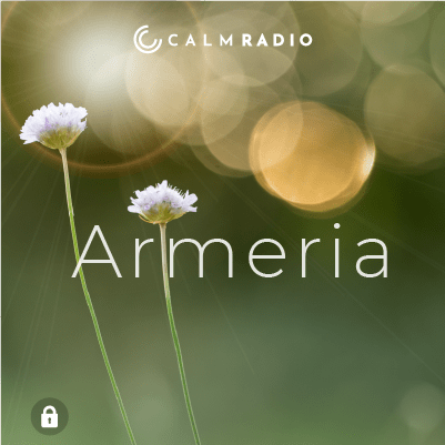 ARMERIA