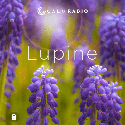 LUPINE