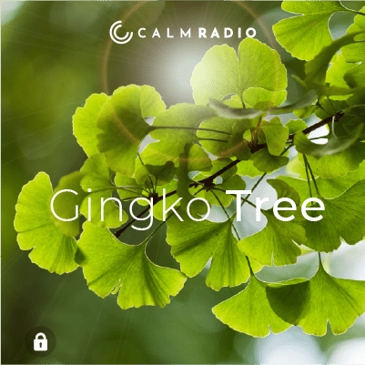 GINKGO BOOM