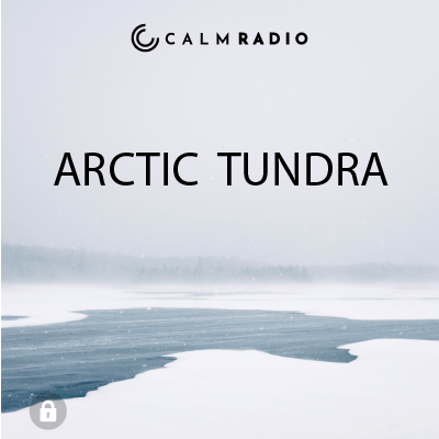TUNDRA ARTICA