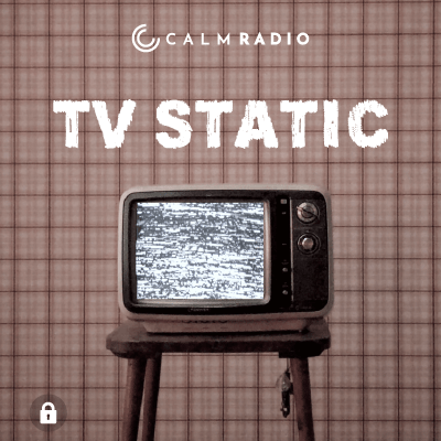 TV STATICA