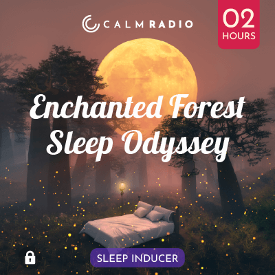 ODISSEA NEL SONNO NELLA FORESTA INCANTATA