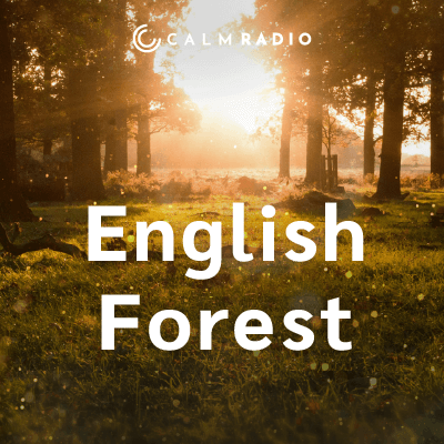 FORÊT ANGLAISE