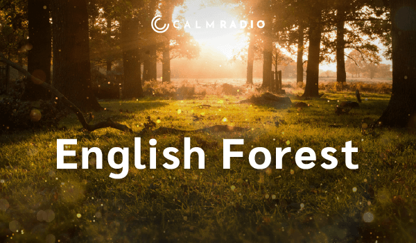 英国森林
