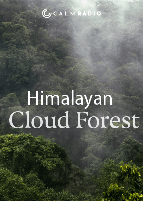 FORÊT NUAGEUSE HIMALAYENNE