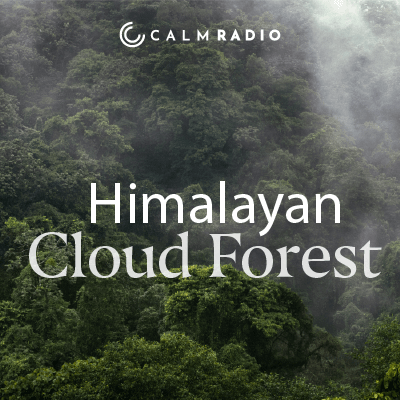 FORESTA NEBBIOSA HIMALAYANA