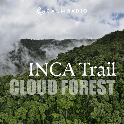 FORESTA NEBBIOSA DEL CAMMINO INCA