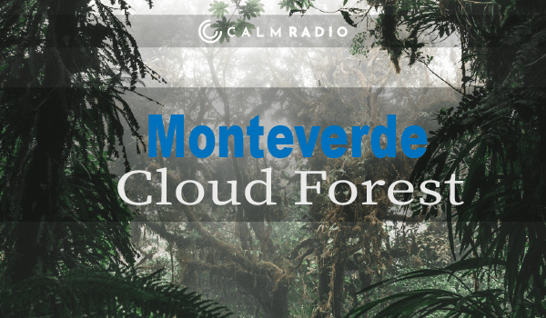 MONTEVERDE-NEBELWALD