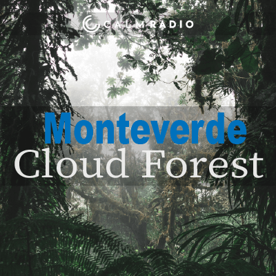 FORESTA NEBBIOSA DI MONTEVERDE
