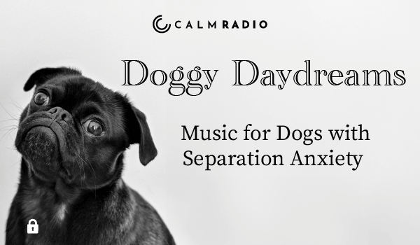 DOGGY DAYDREAMS - MUSIC FOR DOGS WITH SEPARATION ANXIETY