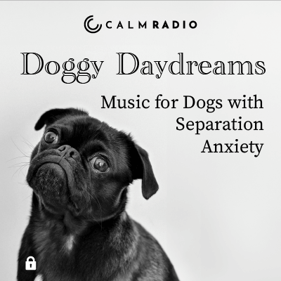 HONDJES DAGDROMEN - MUZIEK VOOR HONDEN MET VERLATINGSANGST
