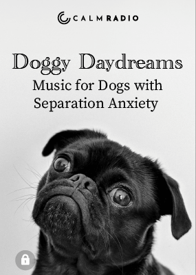 RÊVERIES DE CHIEN - MUSIQUE POUR CHIENS SOUFFRANT D'ANXIÉTÉ DE SÉPARATION