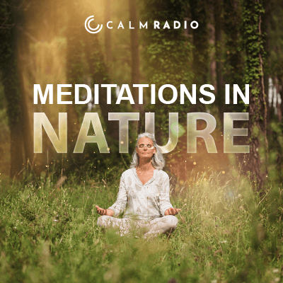 MEDITATIES IN DE NATUUR