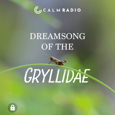 DREAMSONG OF THE GRYLLIDAE