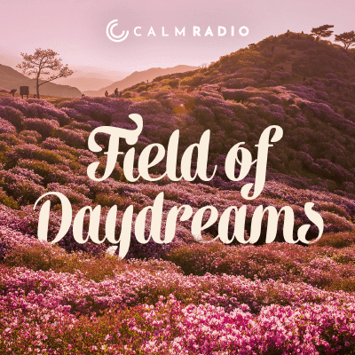 FIELD OF DAYDREAMS