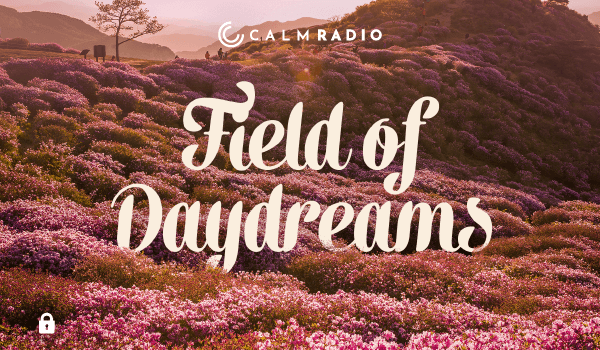 FIELD OF DAYDREAMS