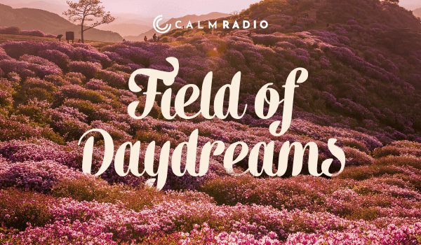 FIELD OF DAYDREAMS