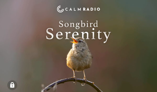 SONGBIRD SERENITY