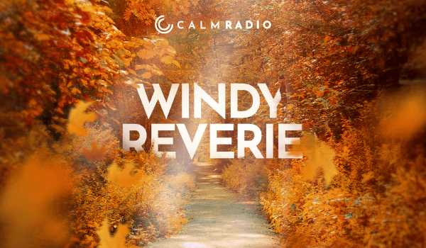 WINDY REVERIE