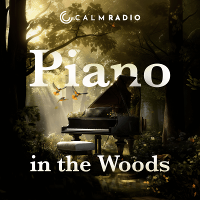 PIANO IN THE WOODS