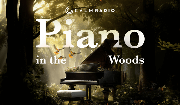 PIANO IN THE WOODS