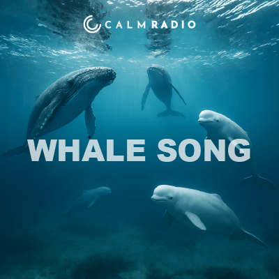 WHALE SONG
